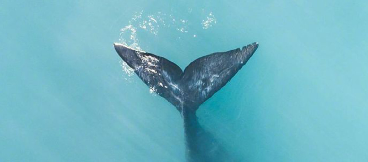 第一课：内容营销的复合效应